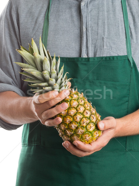 Farmer holding whole fresh pineapple fruit Stock photo © ShawnHempel