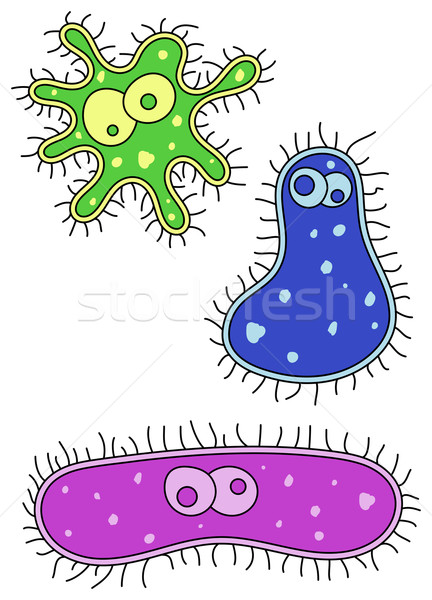 Bacilusok aranyos néz zöld kék rózsaszín Stock fotó © ShawnHempel