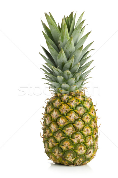 Whole pineapple fruit on white background Stock photo © ShawnHempel