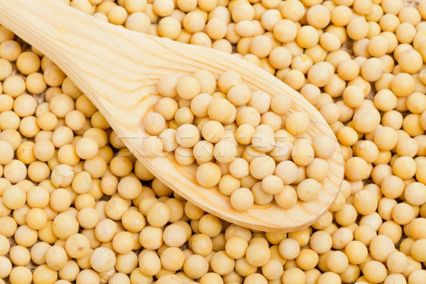 Spoon with dry soybeans Stock photo © ShawnHempel