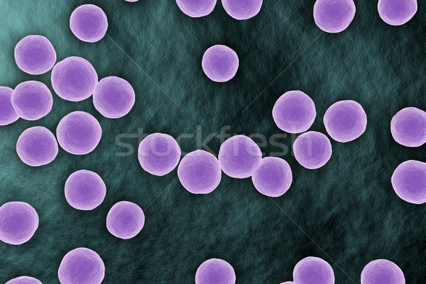 Staphylococcus bacterium microscopic view on surface Stock photo © ShawnHempel