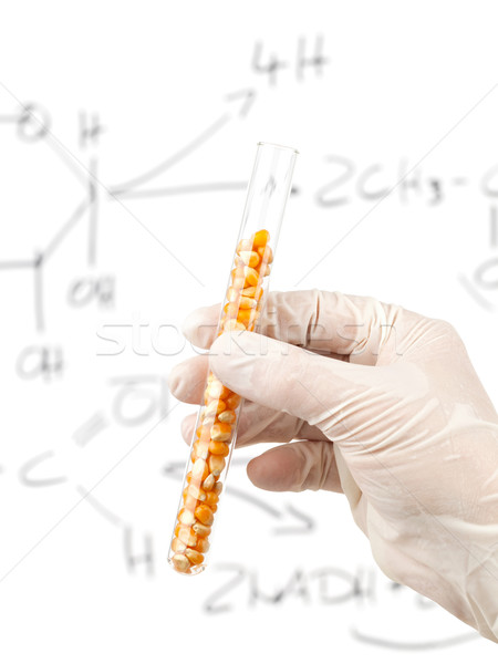 [[stock_photo]]: Biocarburants · recherche · chercheur · tube · à · essai · maïs