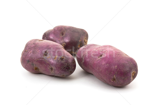 синий картофеля три картофель завода еды Сток-фото © ShawnHempel