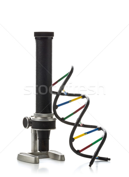 DNA molecule model with old microscope over white background Stock photo © ShawnHempel
