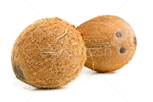 Ganze Kokosnüsse zwei weiß Textur Obst Stock foto © ShawnHempel