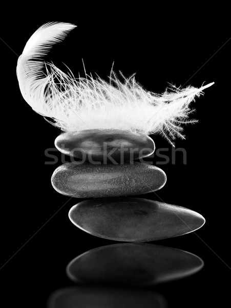 Stabilitás fehér toll boglya fekete kavicsok Stock fotó © ShawnHempel