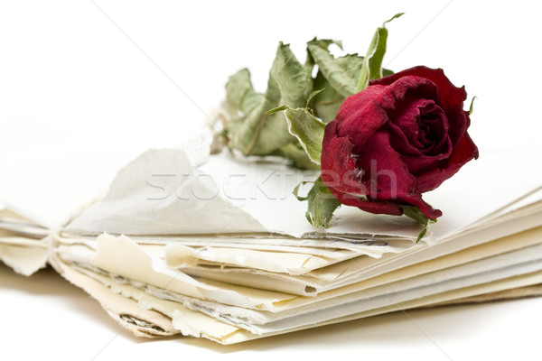 Zdjęcia stock: Miłości · litery · vintage · czerwona · róża · biały · kwiat