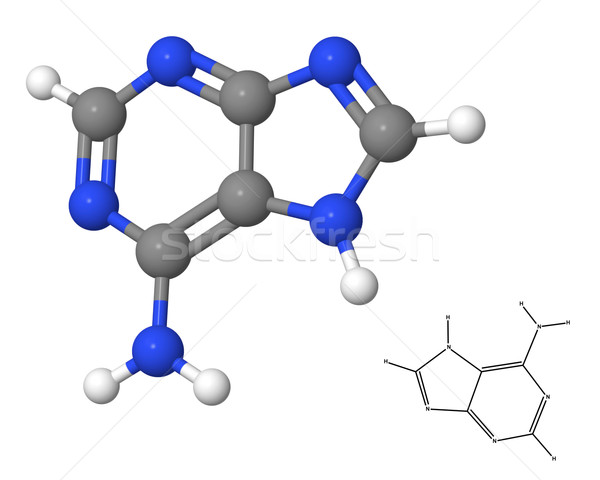 Adenine molecule with chemical formula Stock photo © ShawnHempel