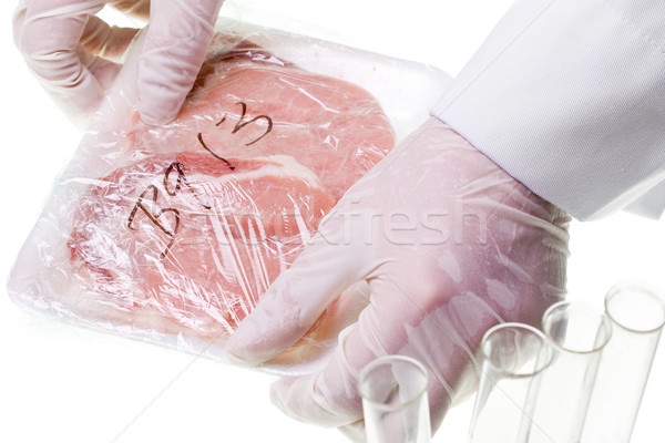 Stock photo: Food control specialist with meat specimen