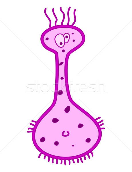 Pink cartoon germ character isolated on white Stock photo © ShawnHempel