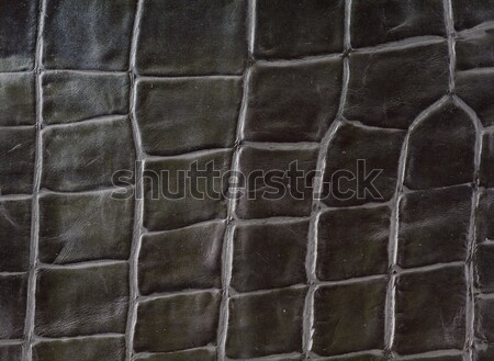 Alligator leder imitatie zwarte textuur Stockfoto © ShawnHempel