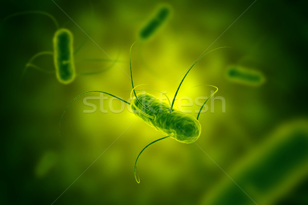 Salmonella bacterium with flagella microscopic view 3D illustrat Stock photo © ShawnHempel