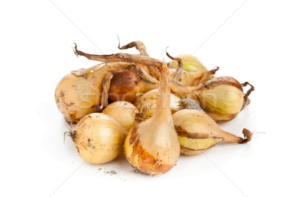 Heap of pickling onions  Stock photo © ShawnHempel