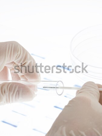 Examing DNA transparency Stock photo © ShawnHempel