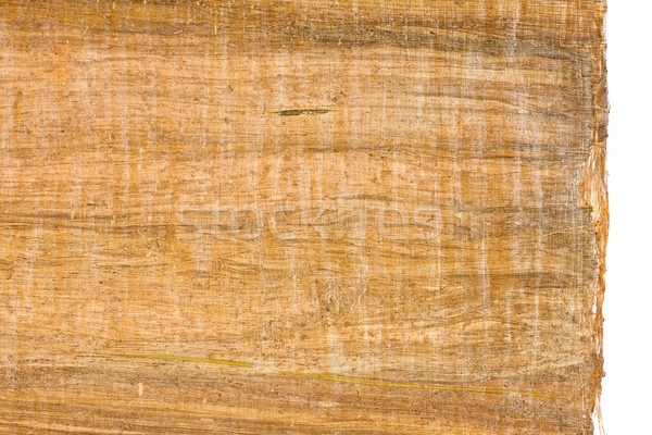 Papirus textură vechi maro frontieră Imagine de stoc © ShawnHempel
