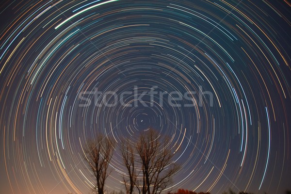Csillag fák tavasz tájkép űr éjszaka Stock fotó © shihina