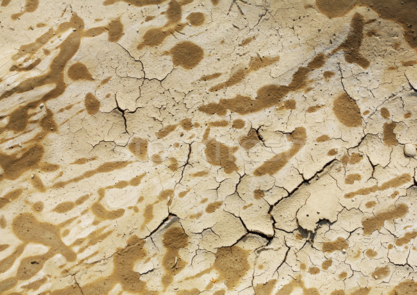 Stock photo: chapped clayey soil texture.