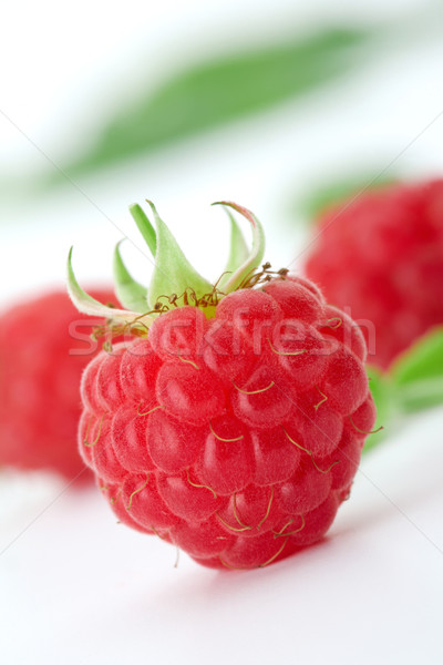 Zmeura frunze verzi alb fruct roşu studio Imagine de stoc © shyshka