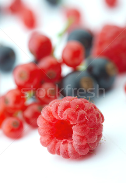 Frutti di bosco mista bianco lampone primo piano focus Foto d'archivio © shyshka