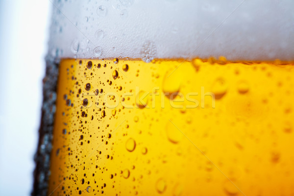 Cold beer Stock photo © shyshka