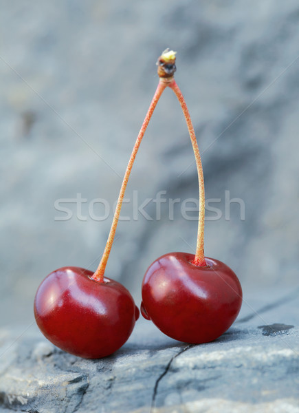 Two Cherries. Stock photo © shyshka