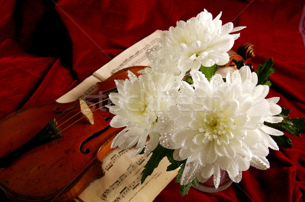 Violín antigua instrumento musical concierto éxito sonido Foto stock © sibrikov