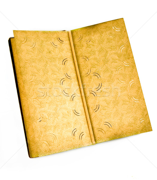 Old picture album Stock photo © sibrikov