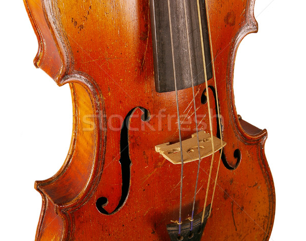 The violin  Stock photo © sibrikov