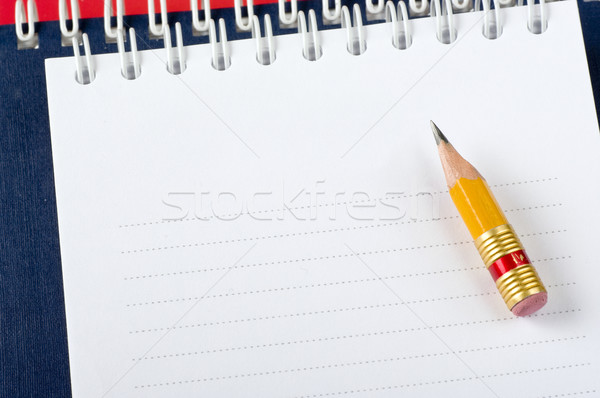Schrijven noodzakelijk spelling merkt populair mensen Stockfoto © sibrikov