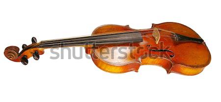 The violin  Stock photo © sibrikov