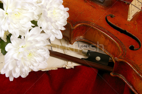Viool oude muziekinstrument concert succes geluid Stockfoto © sibrikov