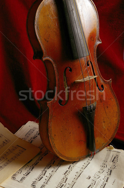 Violine alten Musikinstrument Konzert Erfolg Sound Stock foto © sibrikov