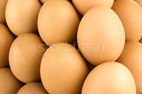 It is eggs  Stock photo © sibrikov