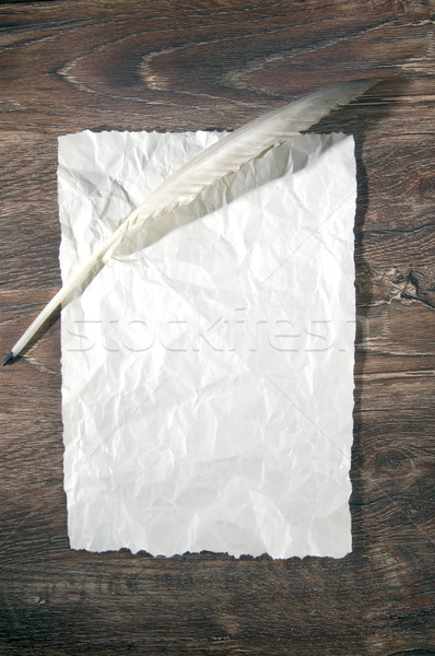 Paper and quill pen Stock photo © sibrikov
