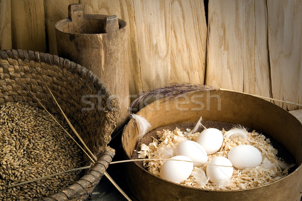 It is eggs  Stock photo © sibrikov