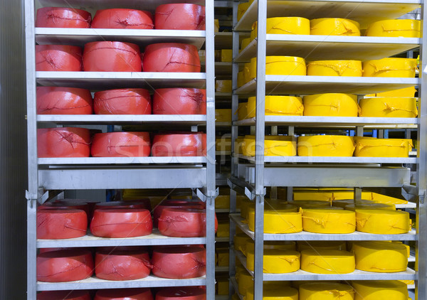 [[stock_photo]]: Fromages · industrielle · production · savoureux · saine · produit