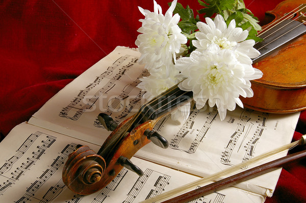 Viool oude muziekinstrument concert succes geluid Stockfoto © sibrikov