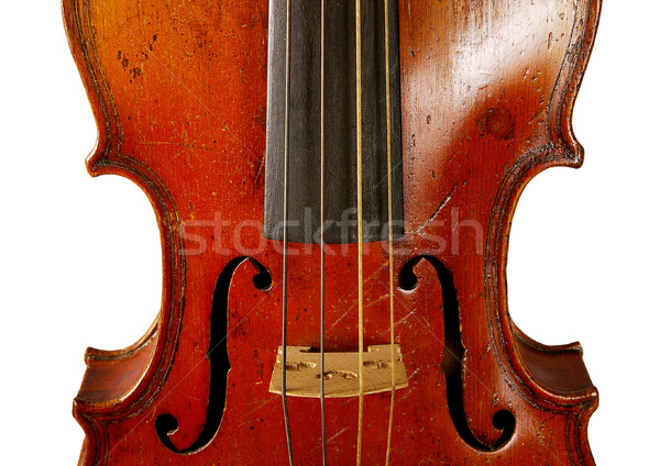 The violin  Stock photo © sibrikov