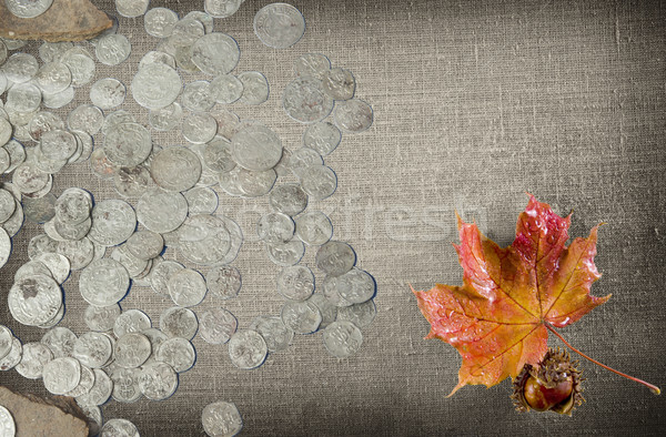 Ancient coins of different metals  Stock photo © sibrikov