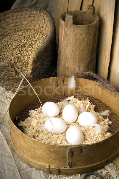 It is eggs  Stock photo © sibrikov