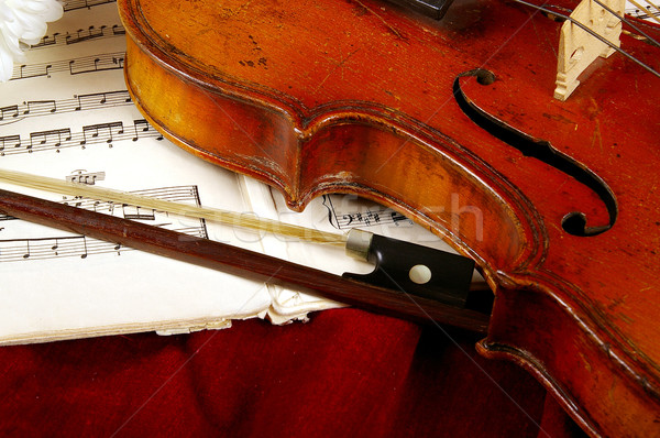 The violin  Stock photo © sibrikov