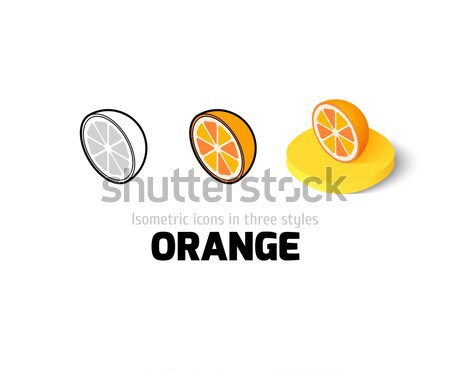 Oranje icon verschillend stijl kleur vector Stockfoto © sidmay