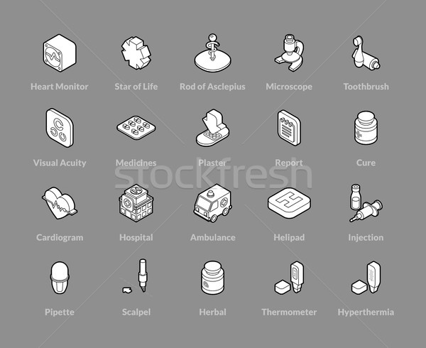 Isometric outline icons set Stock photo © sidmay