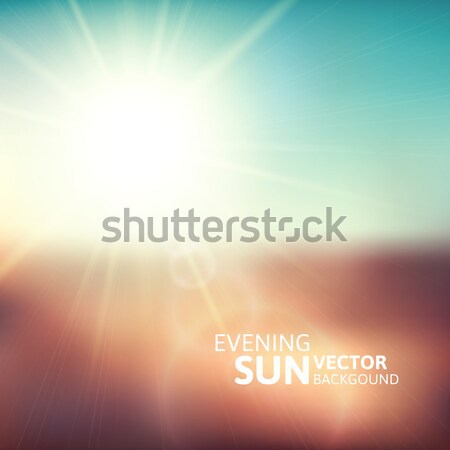 Homályos este jelenet barna mező nap Stock fotó © sidmay