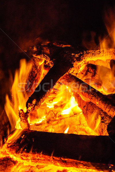Piros forró lángok tűz égő fa Stock fotó © silkenphotography