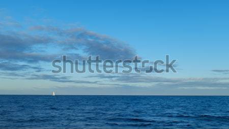Yat yelkencilik açmak okyanus güzel beyaz Stok fotoğraf © silkenphotography