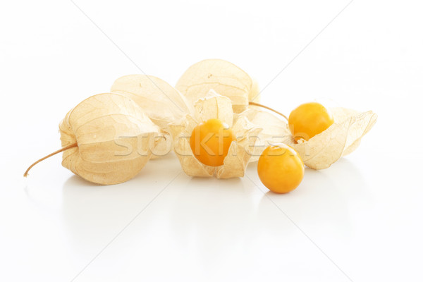 Cape gooseberry (physalis) Stock photo © simas2