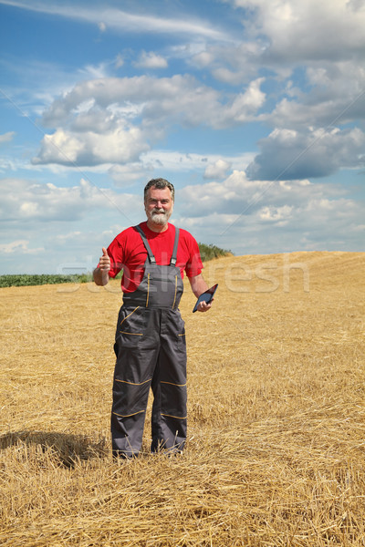 Farmer or agronomist inspect in wheat field after harvest Stock photo © simazoran