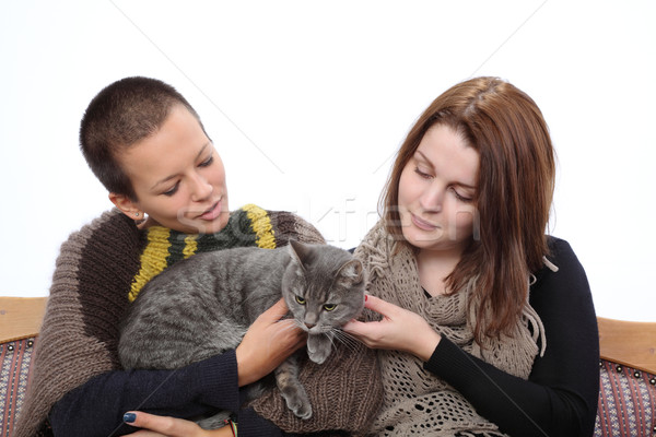 Girls and cat Stock photo © simazoran