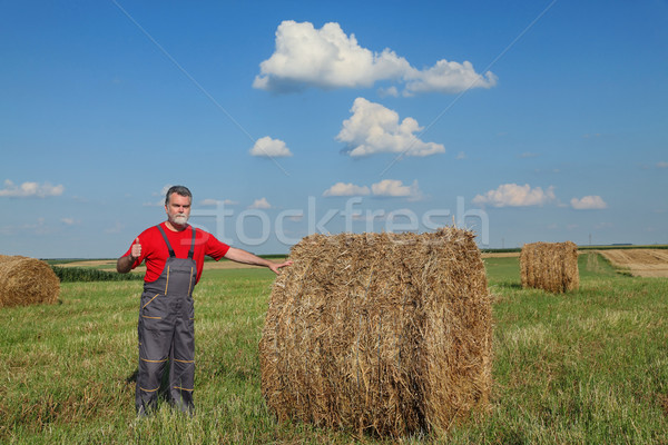 Farmer and bale of hay in field Stock photo © simazoran
